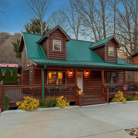 The Snow Owl Cabin Maggie Valley Εξωτερικό φωτογραφία