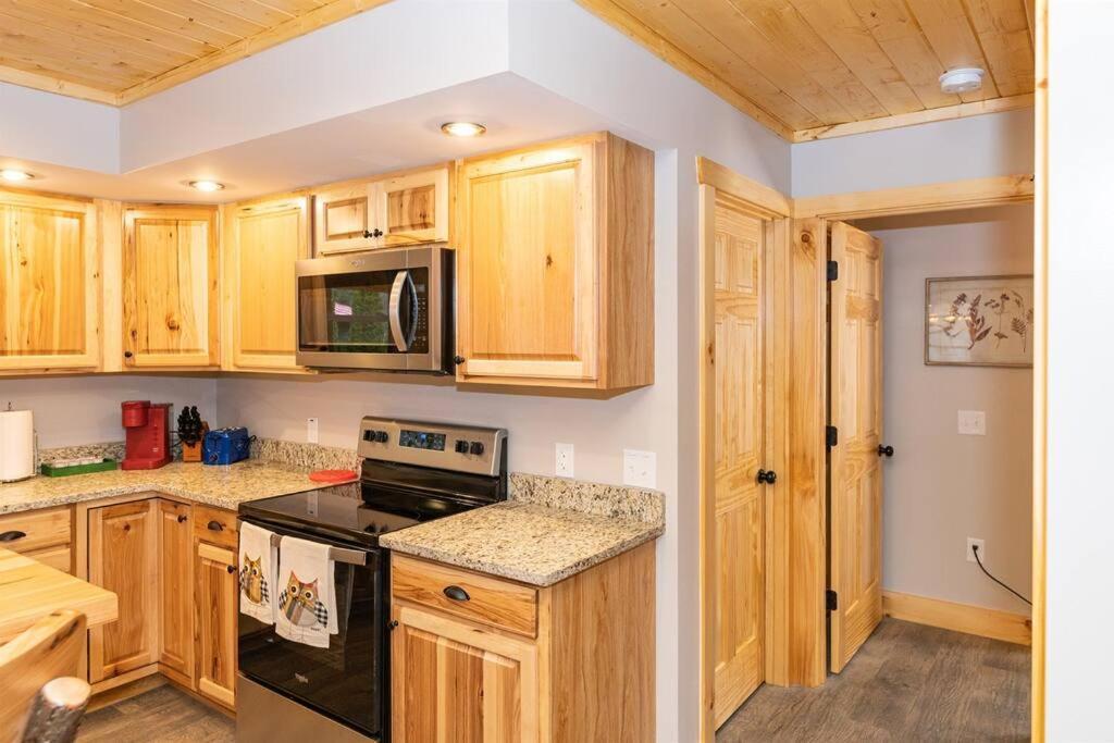 The Snow Owl Cabin Maggie Valley Εξωτερικό φωτογραφία
