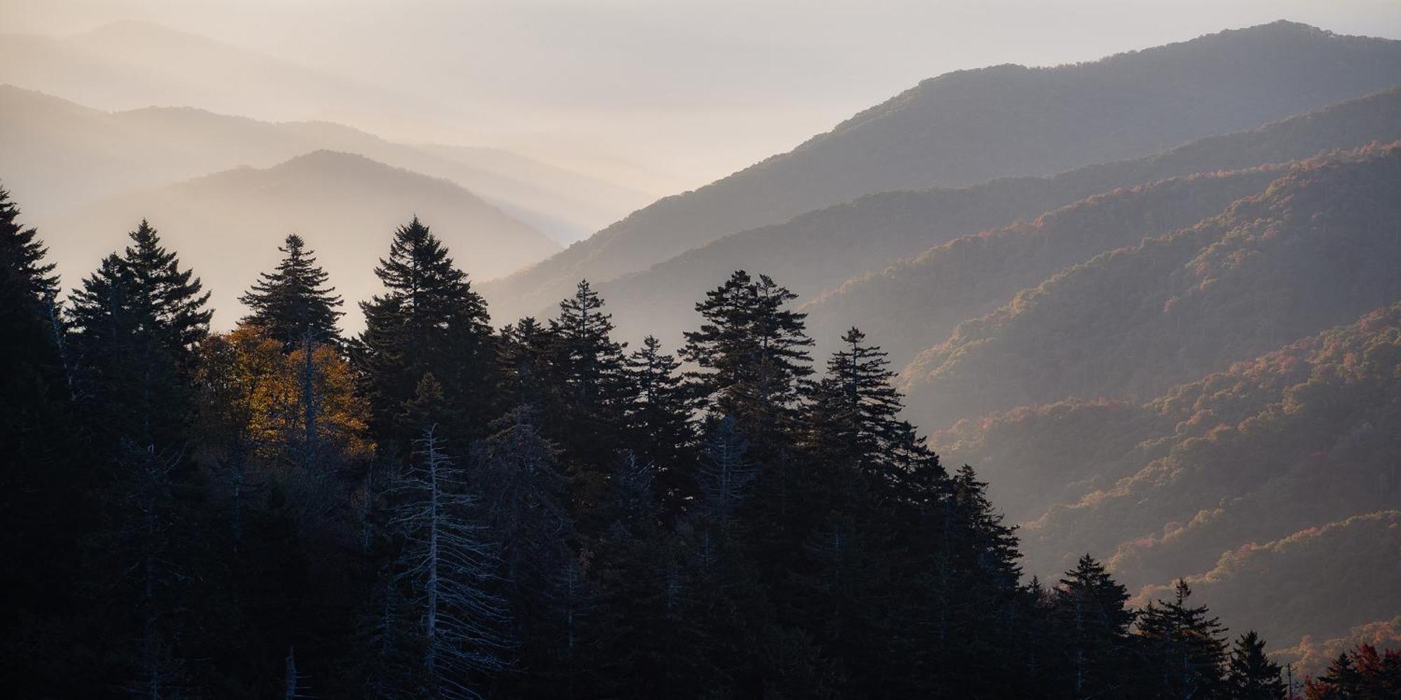 The Snow Owl Cabin Maggie Valley Εξωτερικό φωτογραφία